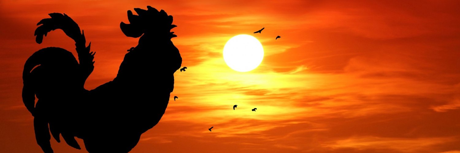 RoosterFinancial banner