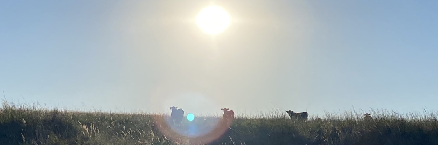 mtcat101's profile banner image