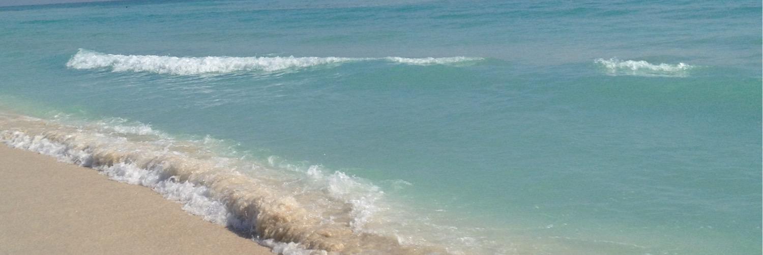 MissCocobuttah's profile banner image