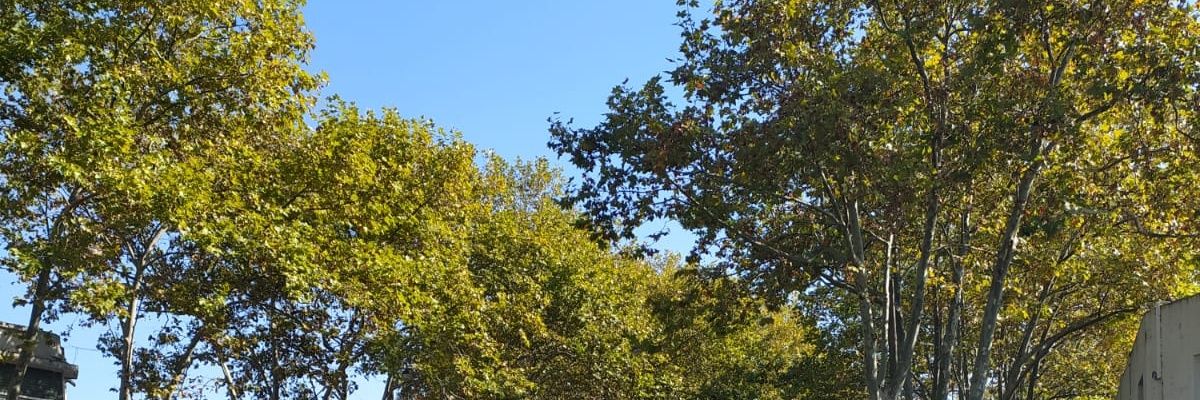 UnTantoAcida's profile banner image