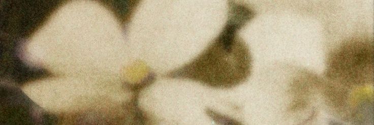 deie banner