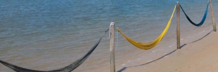 amandagandra's profile banner image