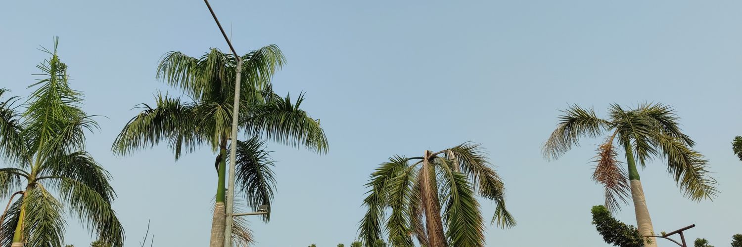 abcdewiiiii's profile banner image