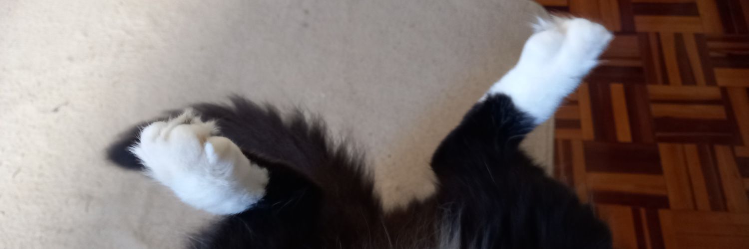 Simonellaᯓ✈︎ᚇ banner