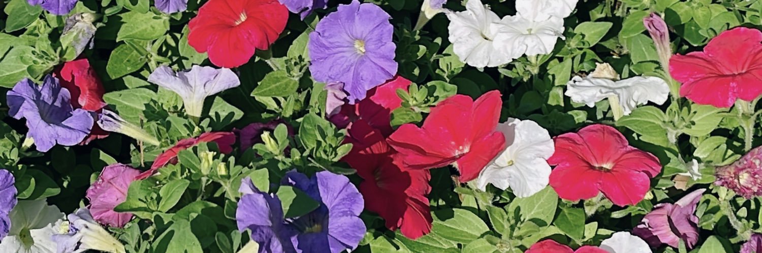 iihrkn's profile banner image