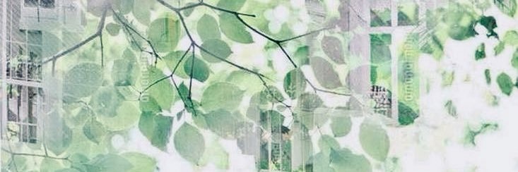 DAHLIA ★ todokami ceo 🍰⚡️ banner