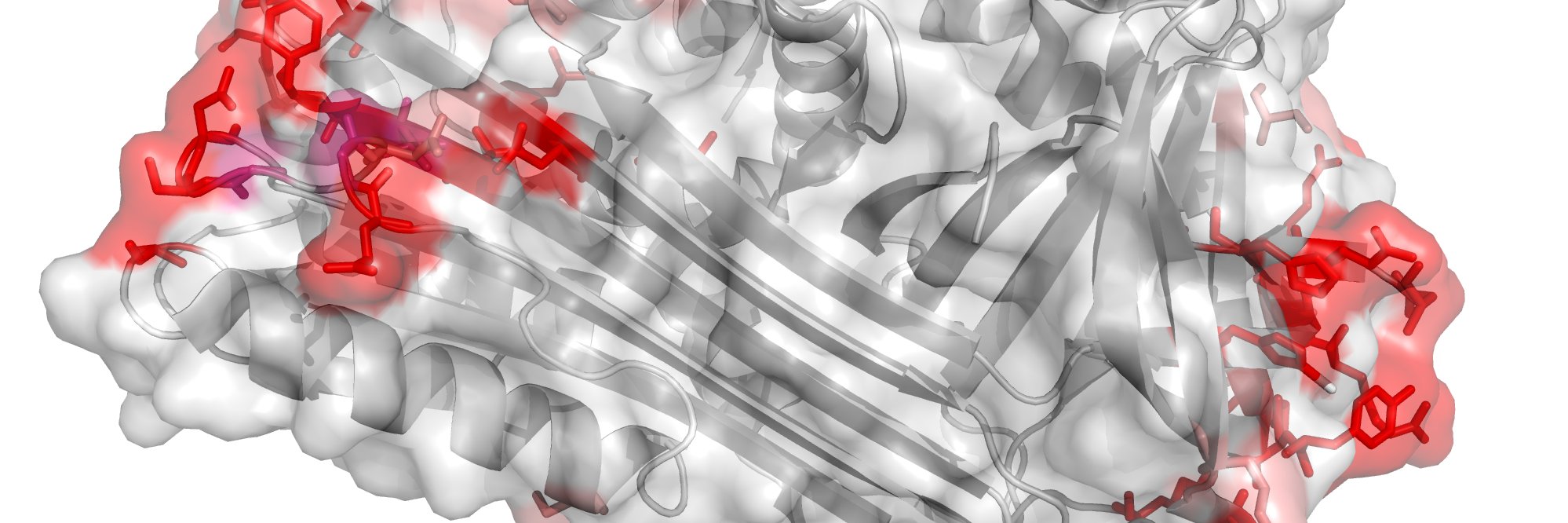 Greg Slodkowicz banner