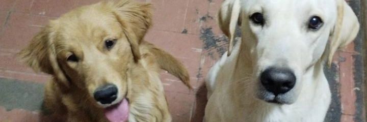 Pipiii15's profile banner image