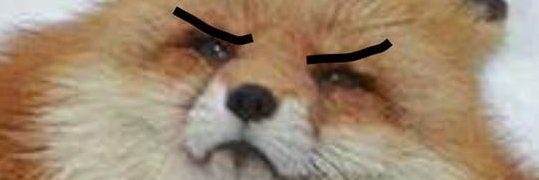 Detpecca banner