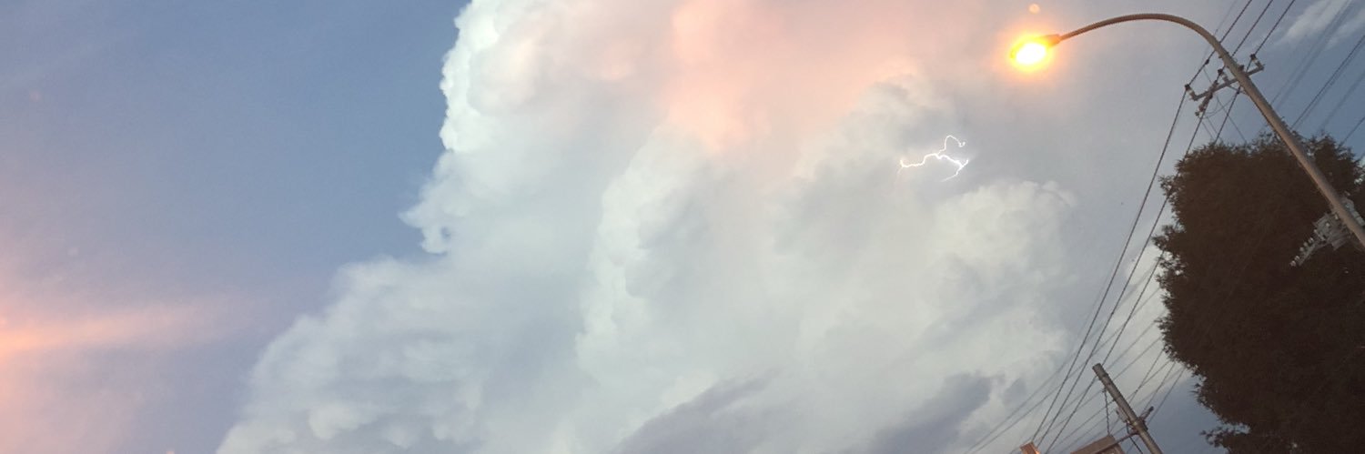 rein1219's profile banner image