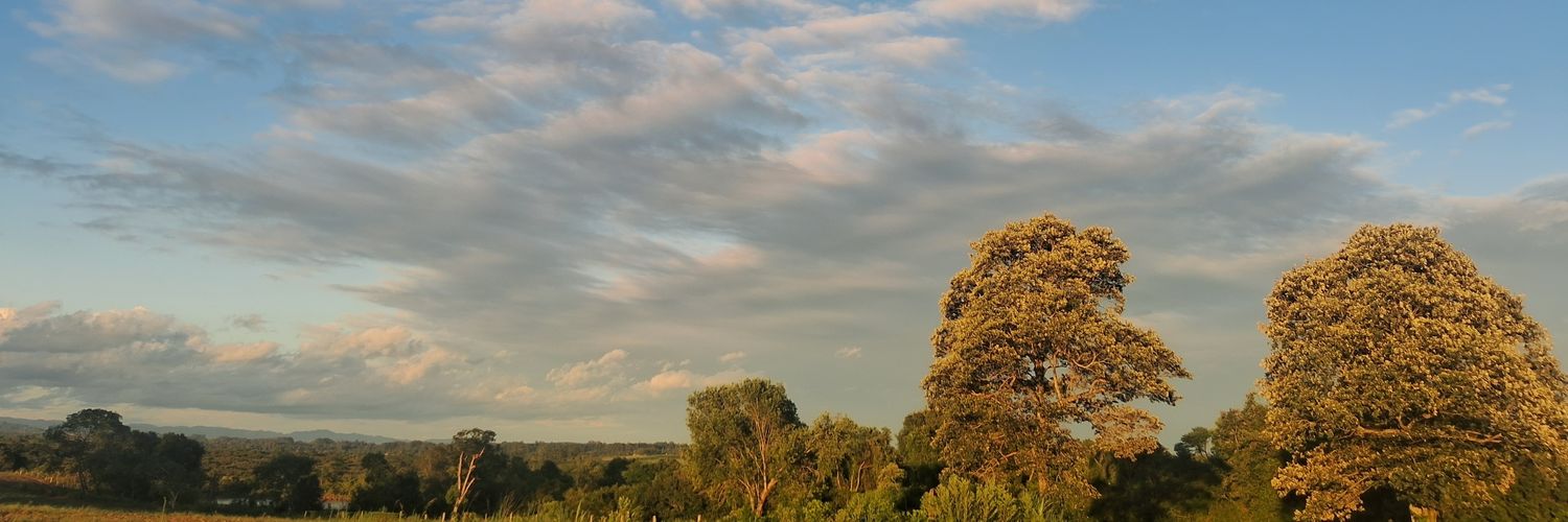prettosaffadao's profile banner image