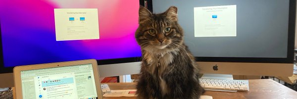 pdtoler Profile Banner