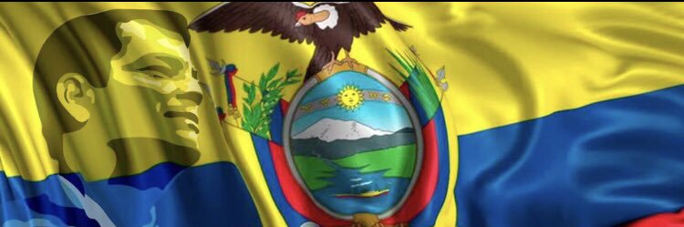 Mauro Cruz's banner