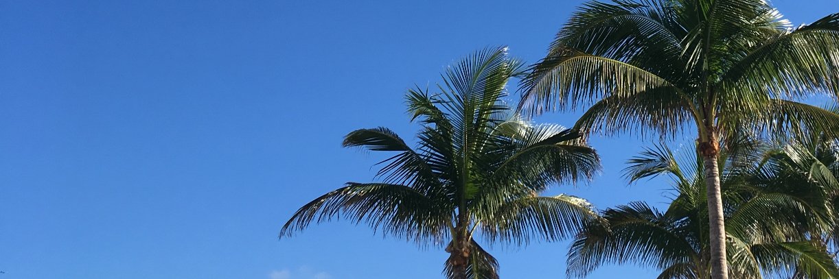 PieOona's profile banner image