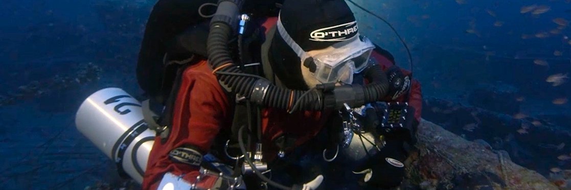 InDEPTH Magazine banner