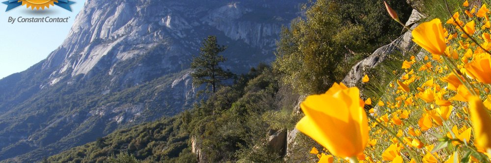 MaureenDudley's profile banner image