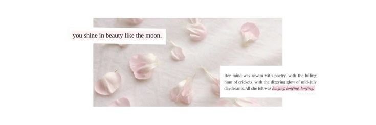praefectussa's profile banner image
