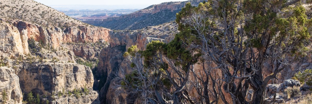 brianreavis's profile banner image