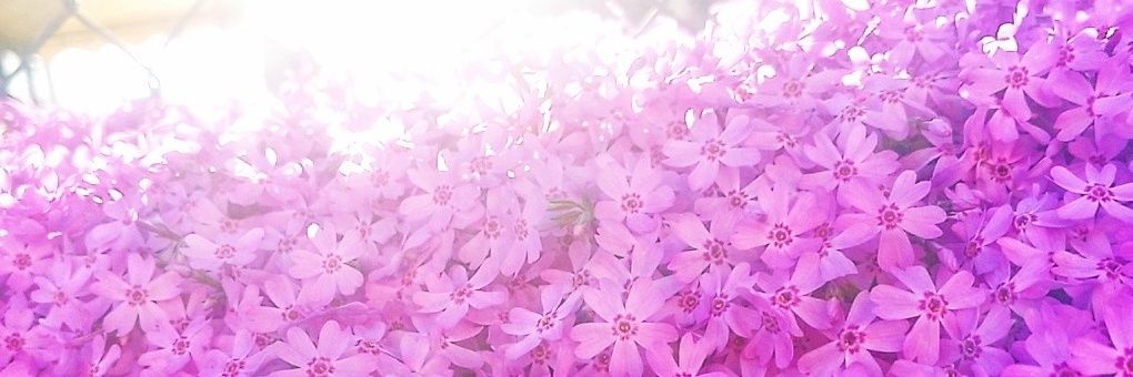 YhbEy8's profile banner image