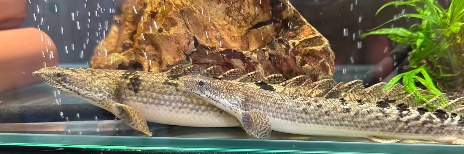 ハラヘッタナ小野 banner