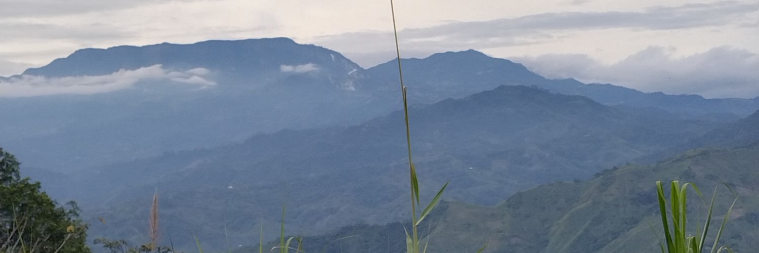 sumercélinda banner