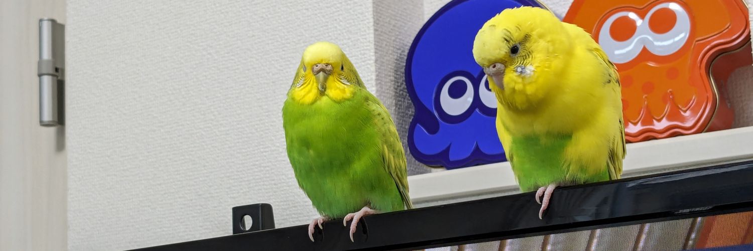 こや🐧りゅかきゅいｶｲﾇｼ banner