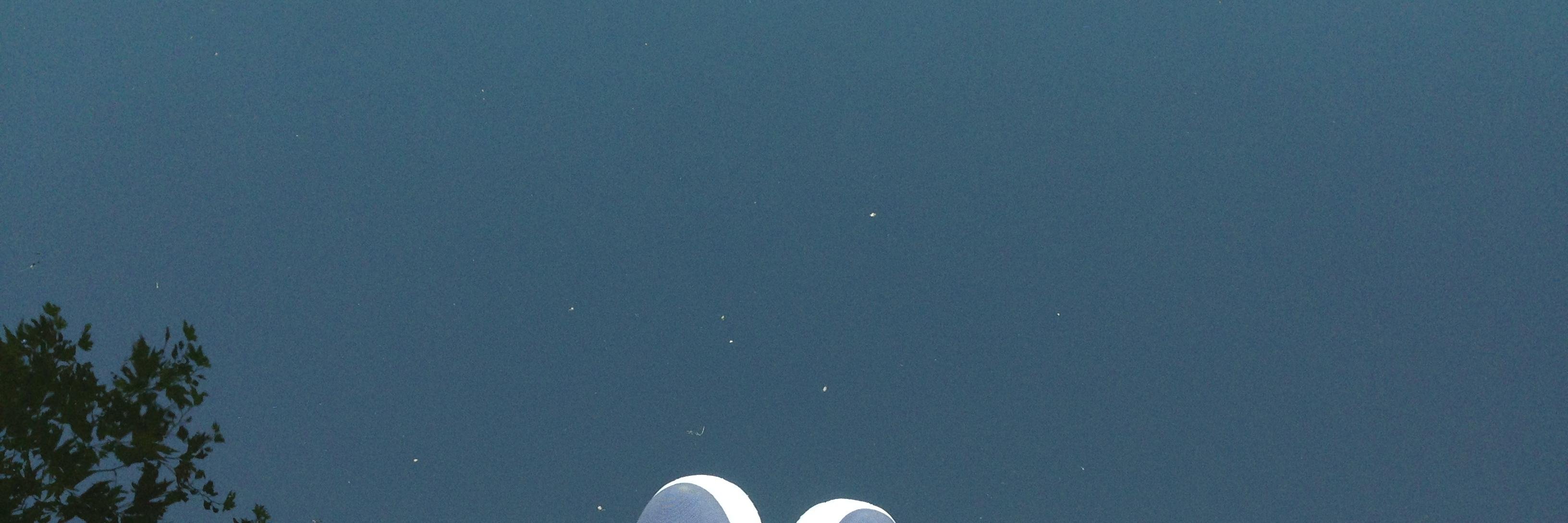 AmazingCactus's profile banner image
