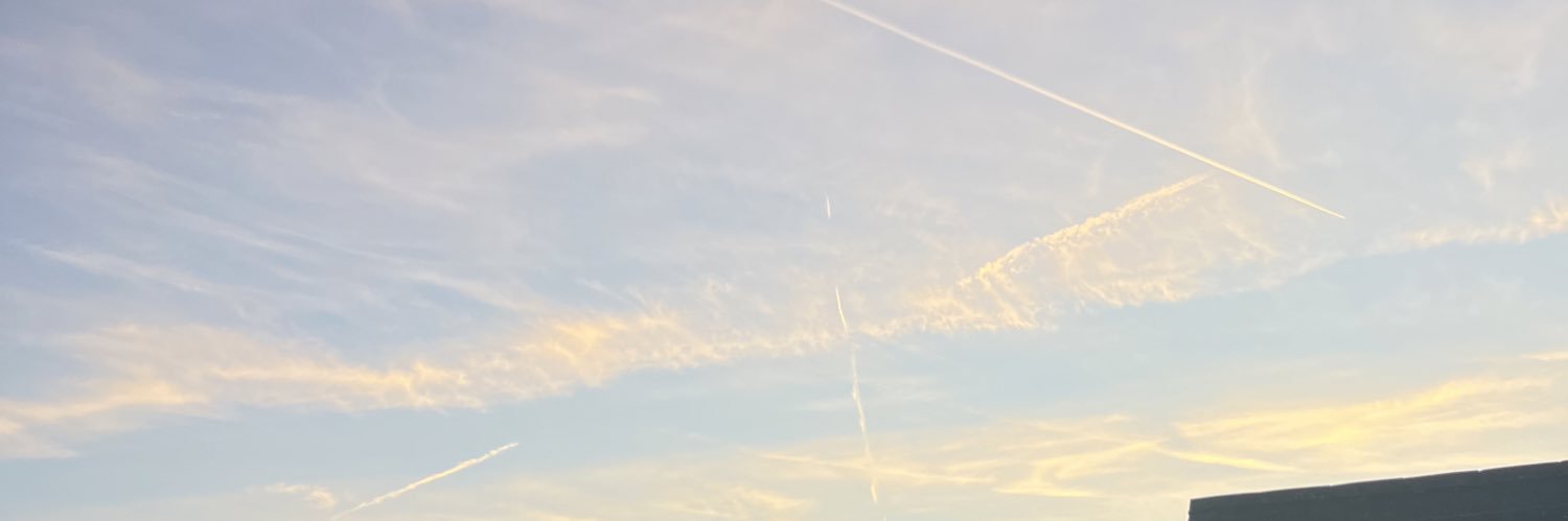 anna_fewings's profile banner image
