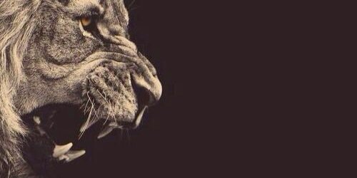 s_mi55's profile banner image