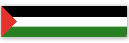 Save Palestine banner