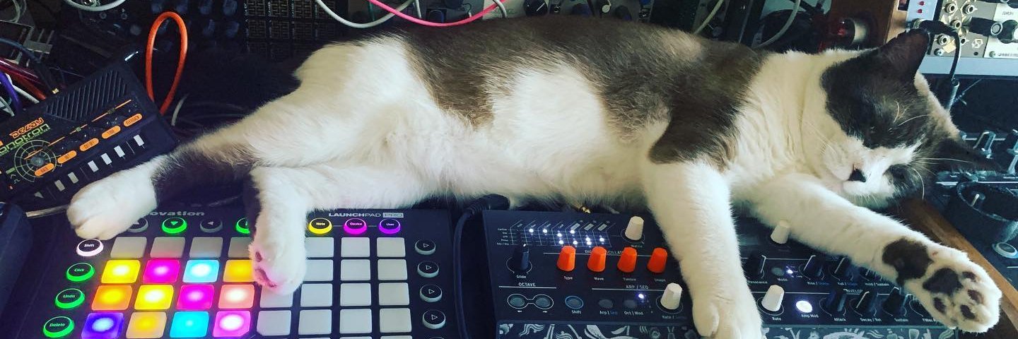 CatSynth / amanda c - @catsynth@mstdn.social banner