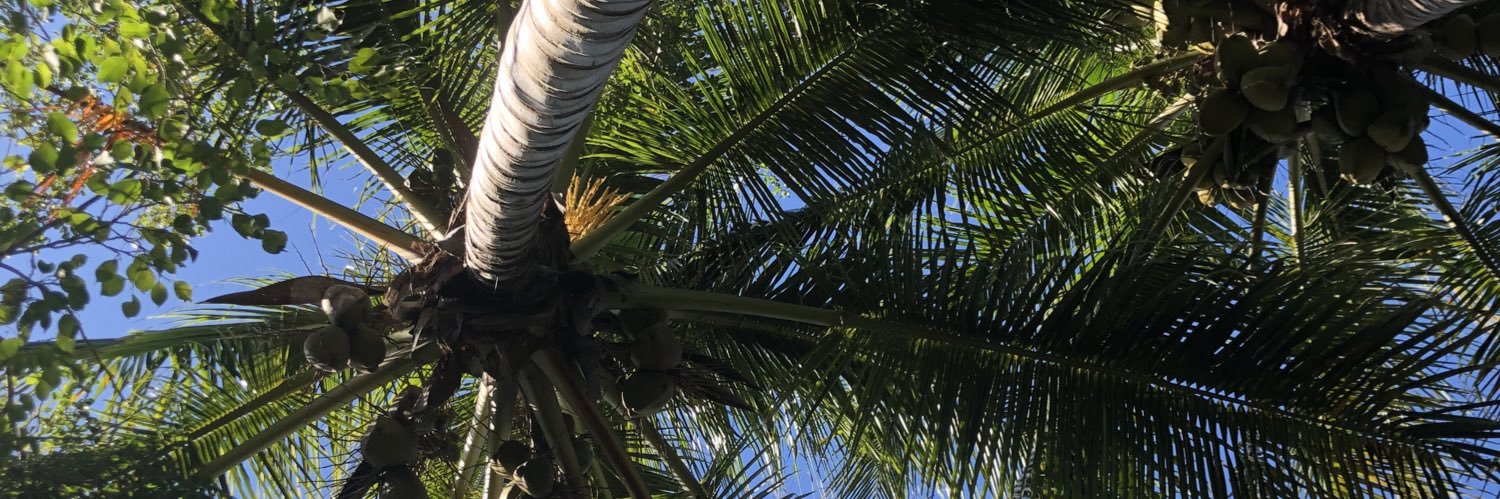 Gotitgreen's profile banner image