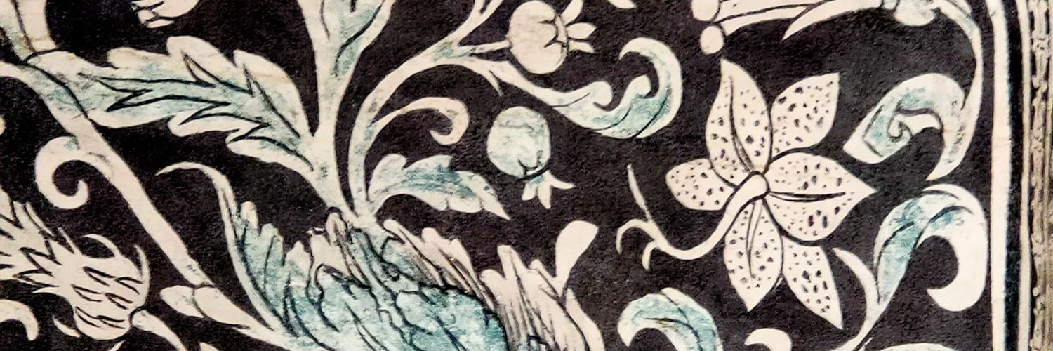 Vlad Palma banner