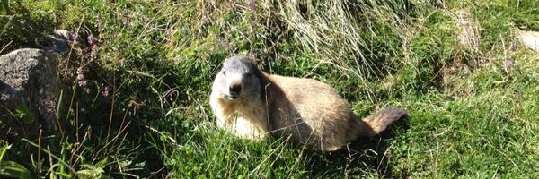 JonFielden Profile Banner