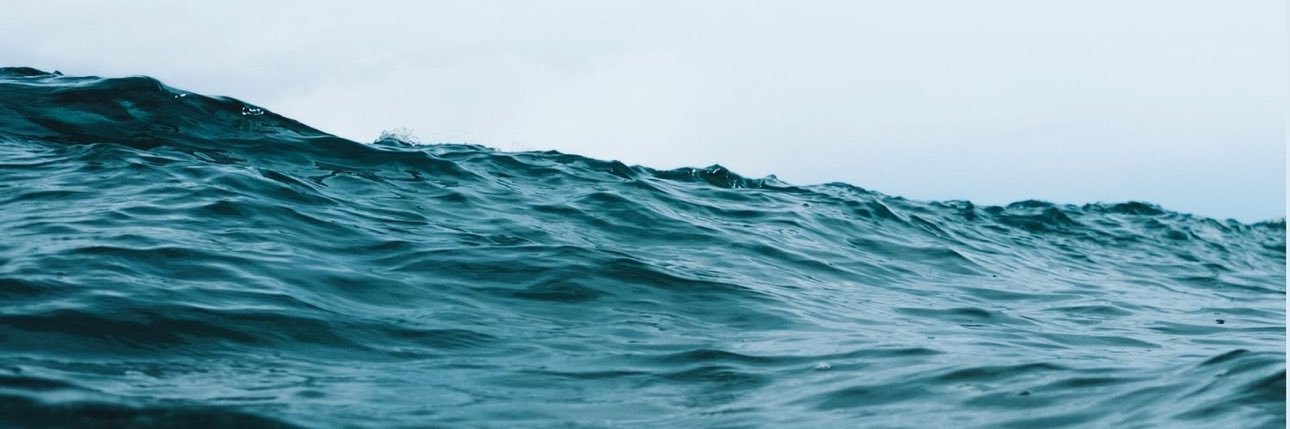 Kinfolkology's banner
