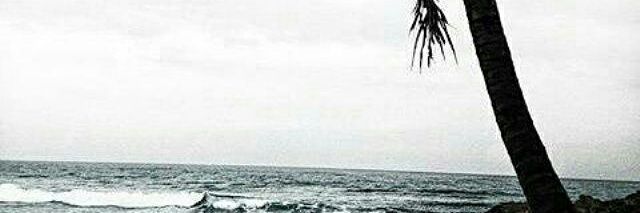 umlu_17's profile banner image