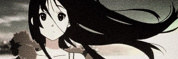 v banner