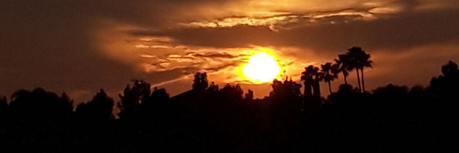 AngLaRamsRon's profile banner image