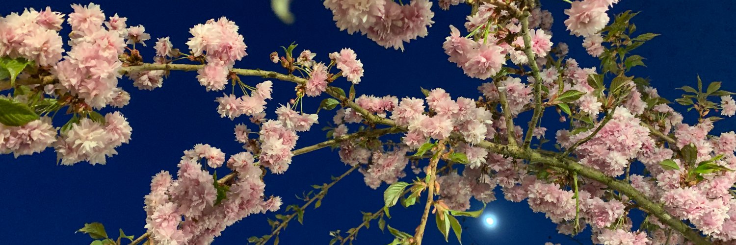 JacquiBell67's profile banner image