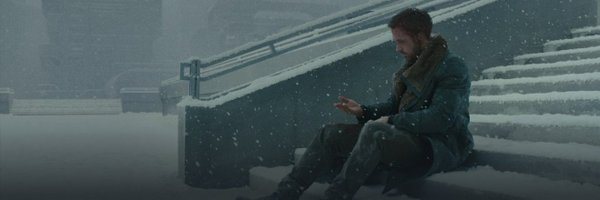 insanedms Profile Banner