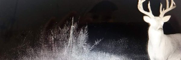 Brew38463T Profile Banner