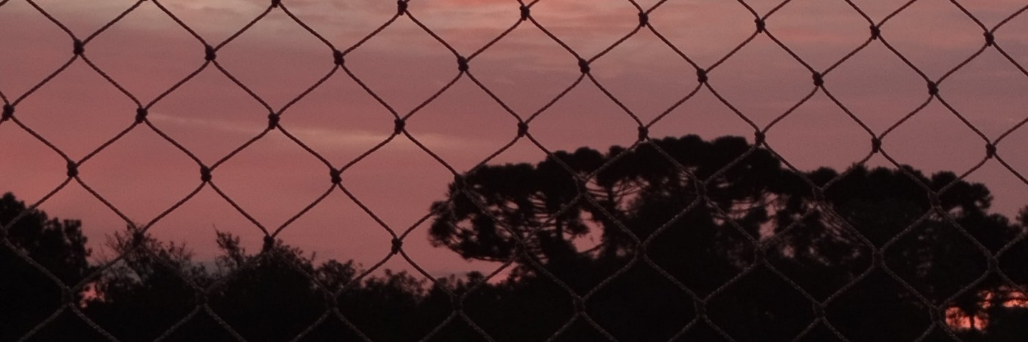 ana_f_b's profile banner image