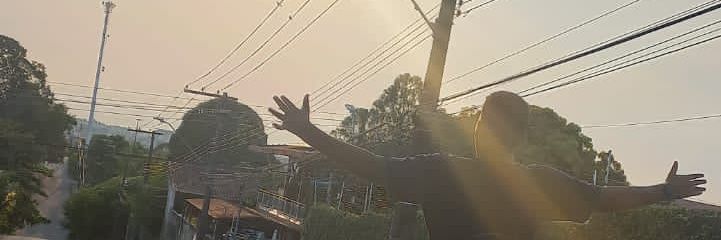 alee banner