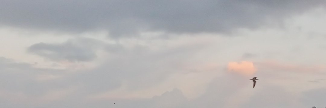 M Kabir banner