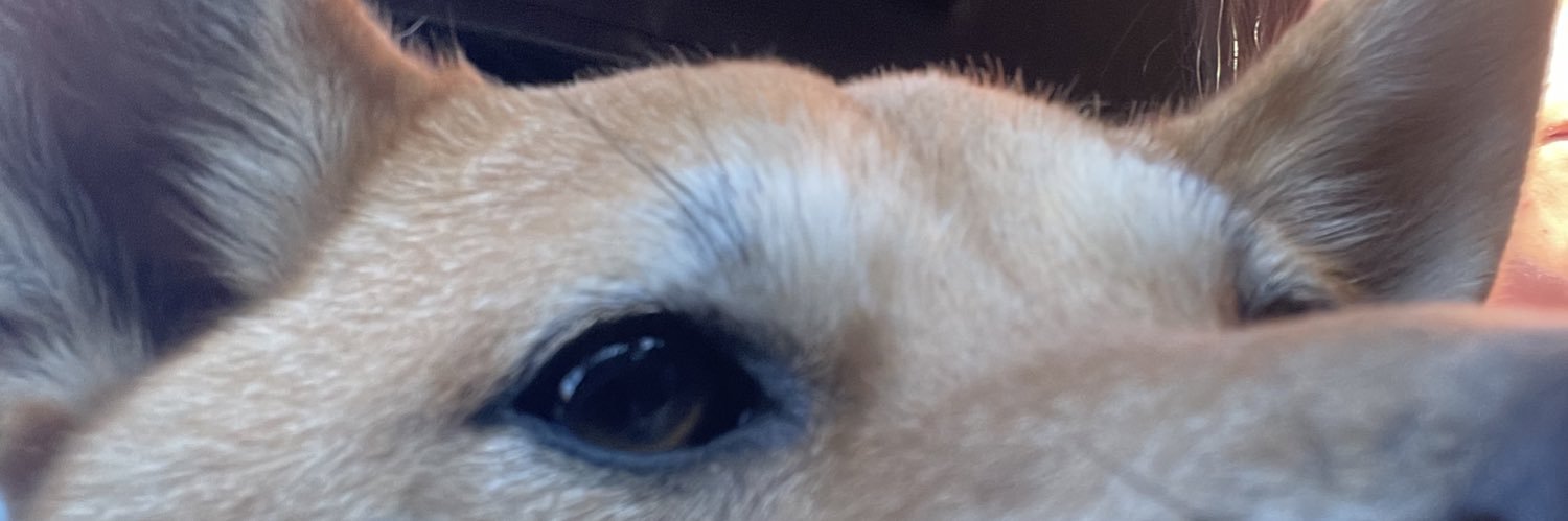 SannRmz's profile banner image
