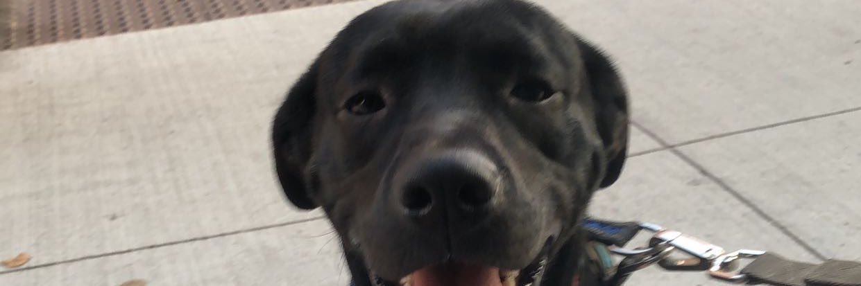 actuallyjord_'s profile banner image