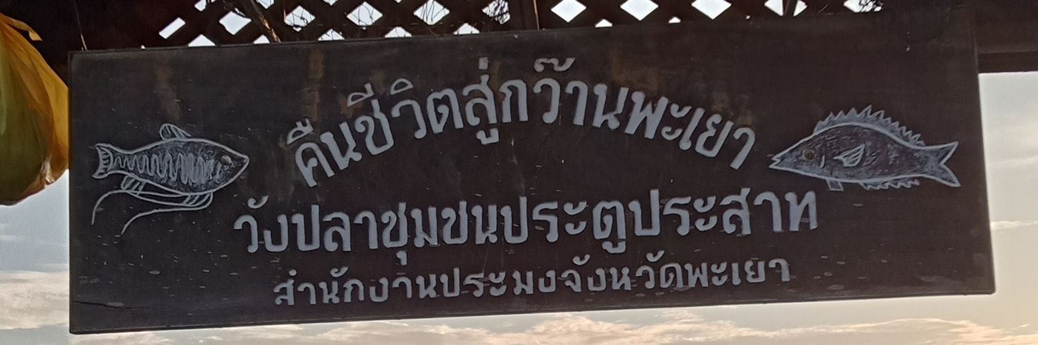 DaChnad98550's profile banner image