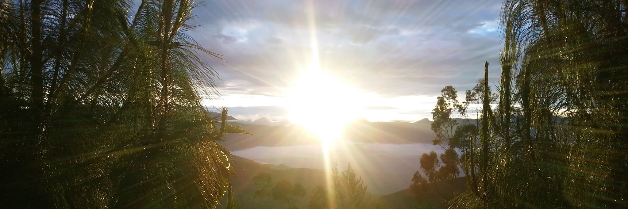 chio1605's profile banner image