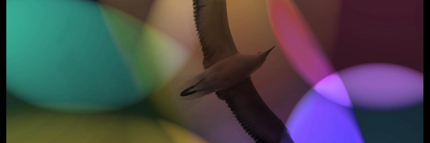 El Gallo Claudio banner