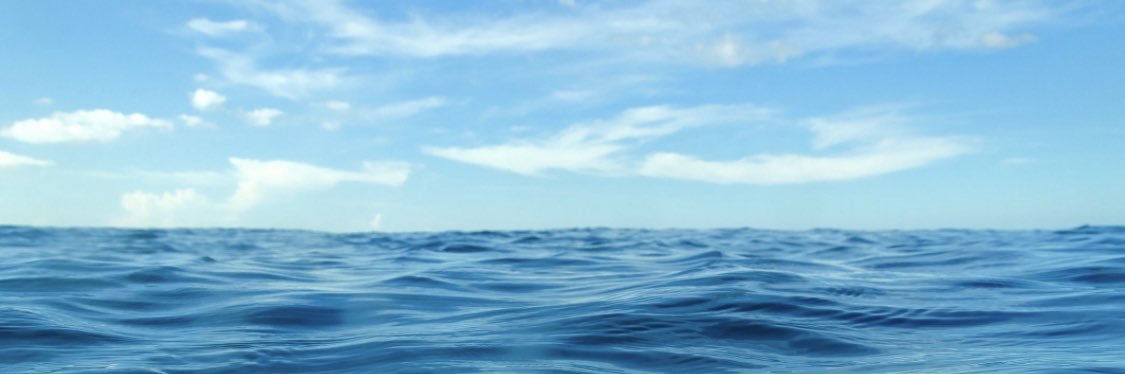 CSW Digital Art banner